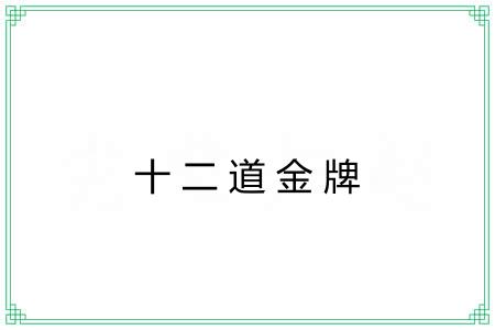 十二道金牌 十二道金牌
